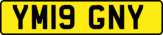 YM19GNY