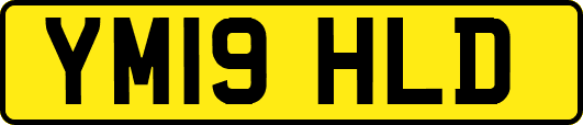 YM19HLD