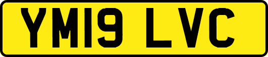 YM19LVC