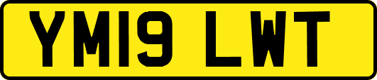 YM19LWT