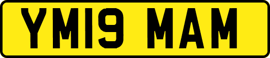 YM19MAM