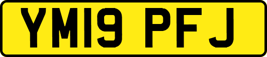 YM19PFJ