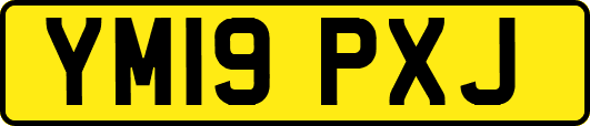 YM19PXJ