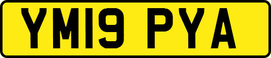 YM19PYA