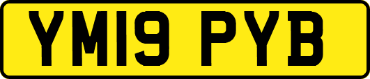 YM19PYB