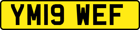 YM19WEF