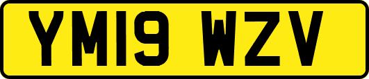 YM19WZV