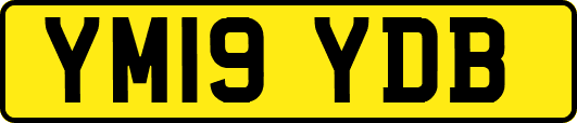 YM19YDB