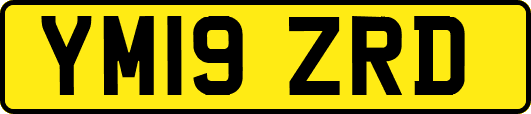 YM19ZRD