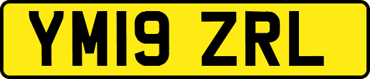 YM19ZRL