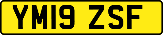 YM19ZSF