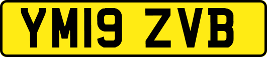 YM19ZVB
