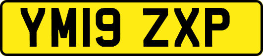 YM19ZXP