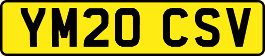 YM20CSV