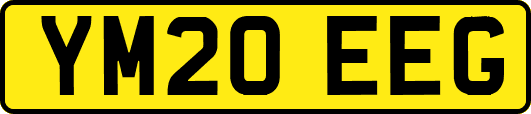 YM20EEG