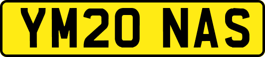 YM20NAS