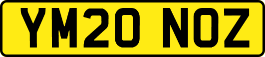 YM20NOZ