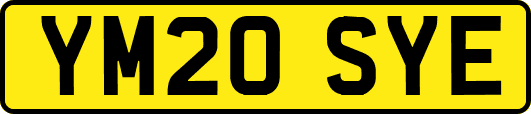 YM20SYE