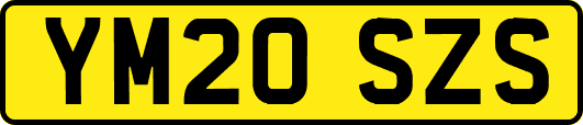 YM20SZS
