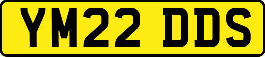 YM22DDS