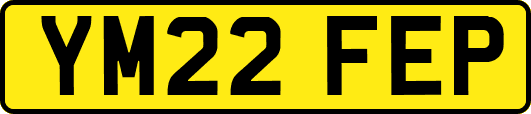 YM22FEP