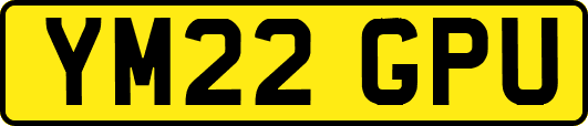 YM22GPU