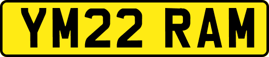 YM22RAM