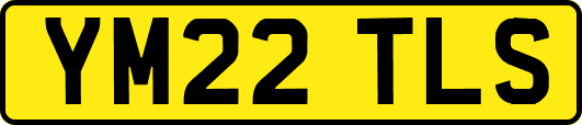 YM22TLS