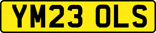 YM23OLS