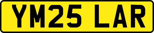 YM25LAR