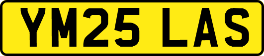 YM25LAS