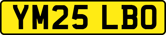 YM25LBO