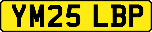 YM25LBP