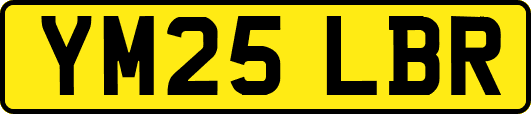 YM25LBR