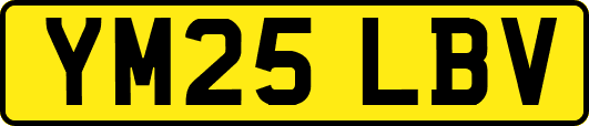 YM25LBV