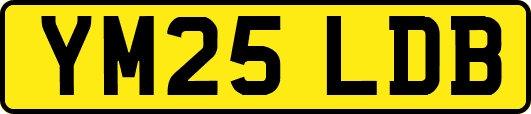 YM25LDB