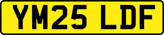 YM25LDF