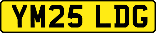 YM25LDG