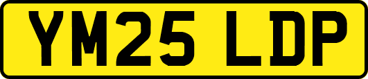 YM25LDP