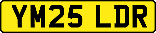 YM25LDR