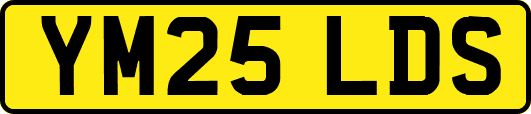 YM25LDS
