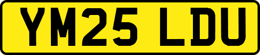 YM25LDU
