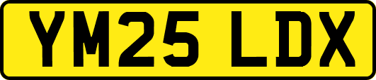 YM25LDX