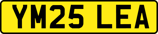 YM25LEA