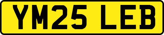 YM25LEB