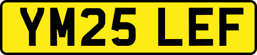 YM25LEF
