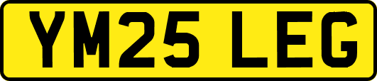 YM25LEG