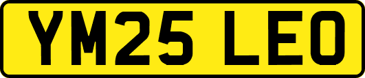 YM25LEO