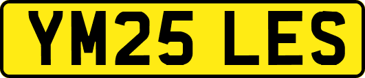 YM25LES