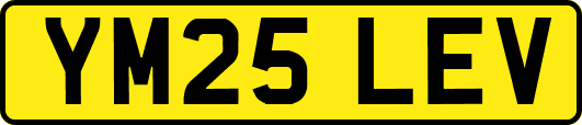 YM25LEV